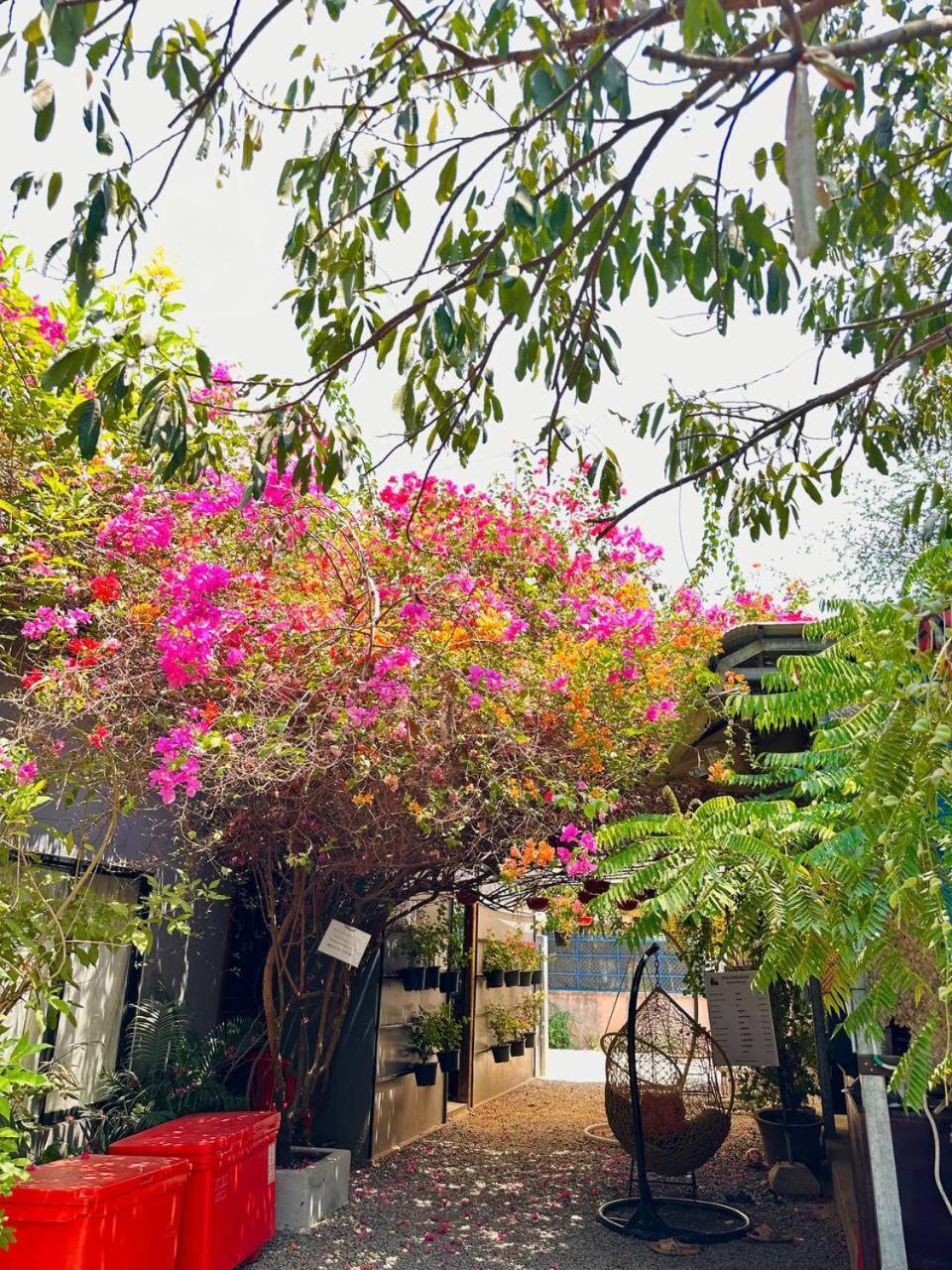 Angkor Piseth Homestay Siem Reap Exterior photo
