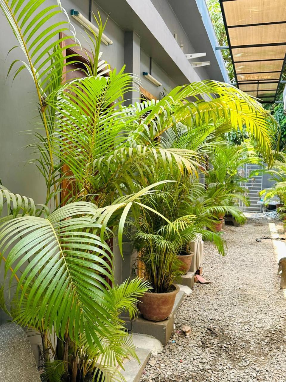 Angkor Piseth Homestay Siem Reap Exterior photo