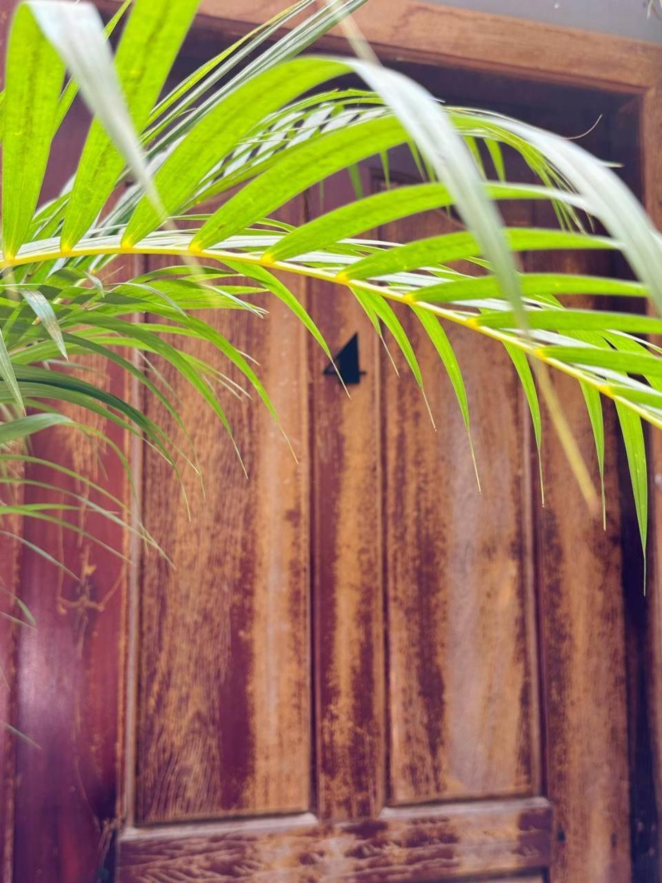 Angkor Piseth Homestay Siem Reap Exterior photo