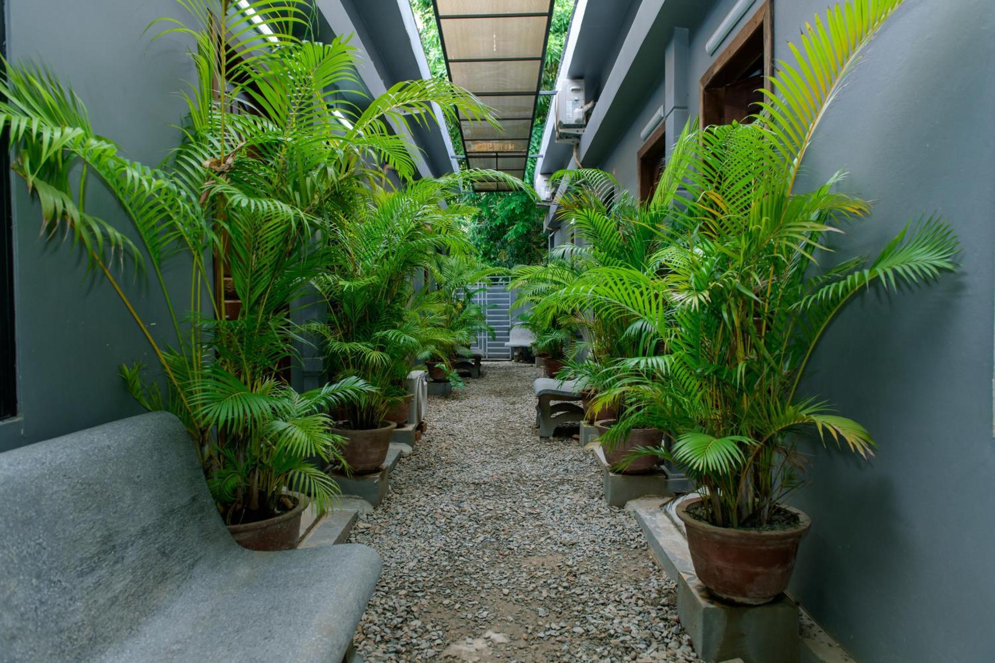 Angkor Piseth Homestay Siem Reap Exterior photo